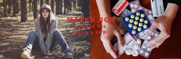 ПСИЛОЦИБИНОВЫЕ ГРИБЫ Белокуриха