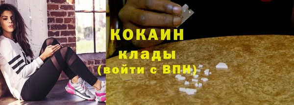 ПСИЛОЦИБИНОВЫЕ ГРИБЫ Белокуриха