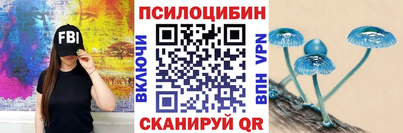 Купить закладки  Серафимович  Псилоцибиновые грибы прущие грибы 